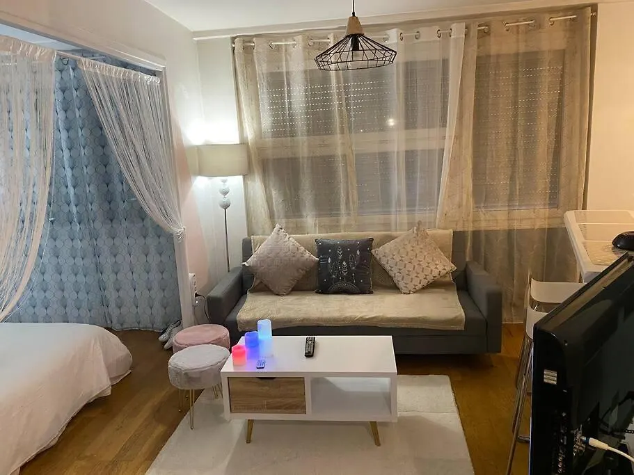 公寓 Charmant Appartement 维勒班 法国