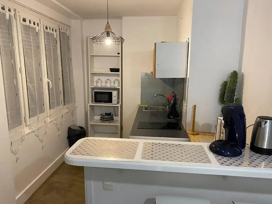 Charmant Appartement Villeurbanne Apartment